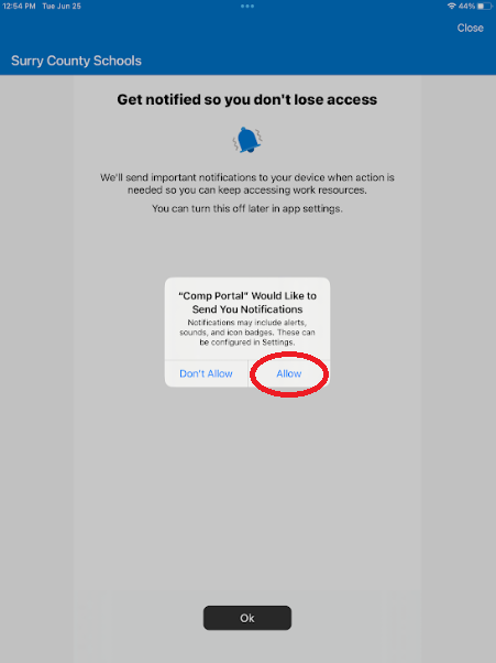 Screenshot 2024-06-25 130134.png